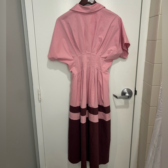 Button-Front Pink Colorblock Midi Dress - Picture 6 of 6